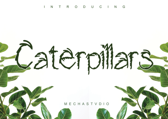 Caterpillars: A Display Font with Quiet Confidence