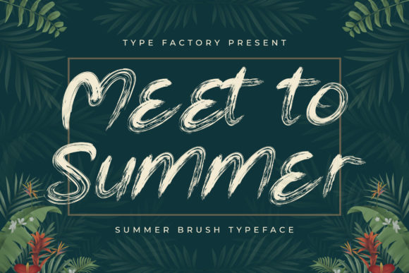 Meet to Summer: A Tropical Display Font That Feels Like Sunlight on Paper