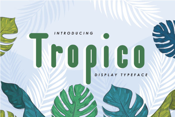 Tropico Font: A Paint-Brushed Display Typeface for Handmade Creators